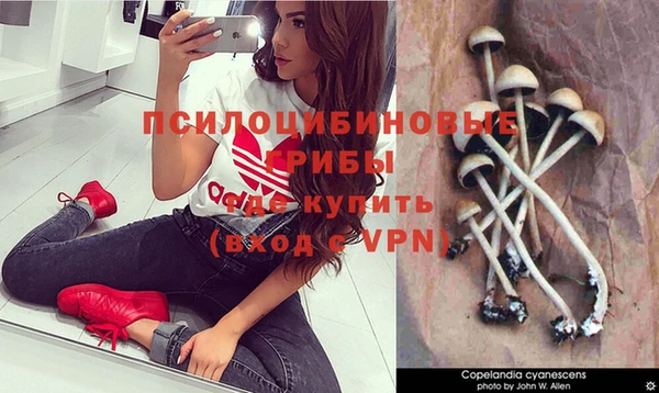 дурь Аркадак