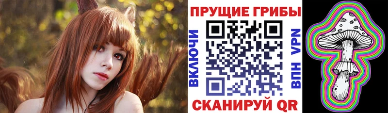 Псилоцибиновые грибы Psilocybine cubensis  дарк нет какой сайт  Цивильск  купить  цена 